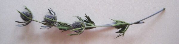 img 7021 etsy l