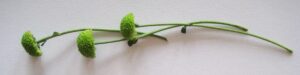 img 7046 etsy l